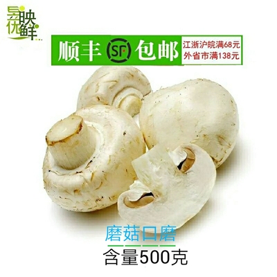 【昱映优鲜】 新鲜食用菌 口磨  白蘑菇  双孢菇 500g