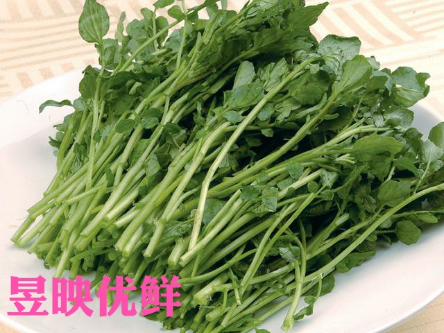 【昱映優鮮】新鮮西洋菜 豆瓣菜涼菜500克江浙滬五件