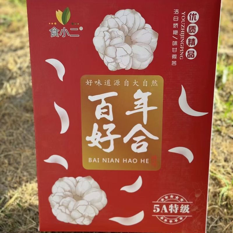 宜兴鲜百合巨无霸百合礼盒款真是越大肉头越厚，觉得有甜甜的回甘图片