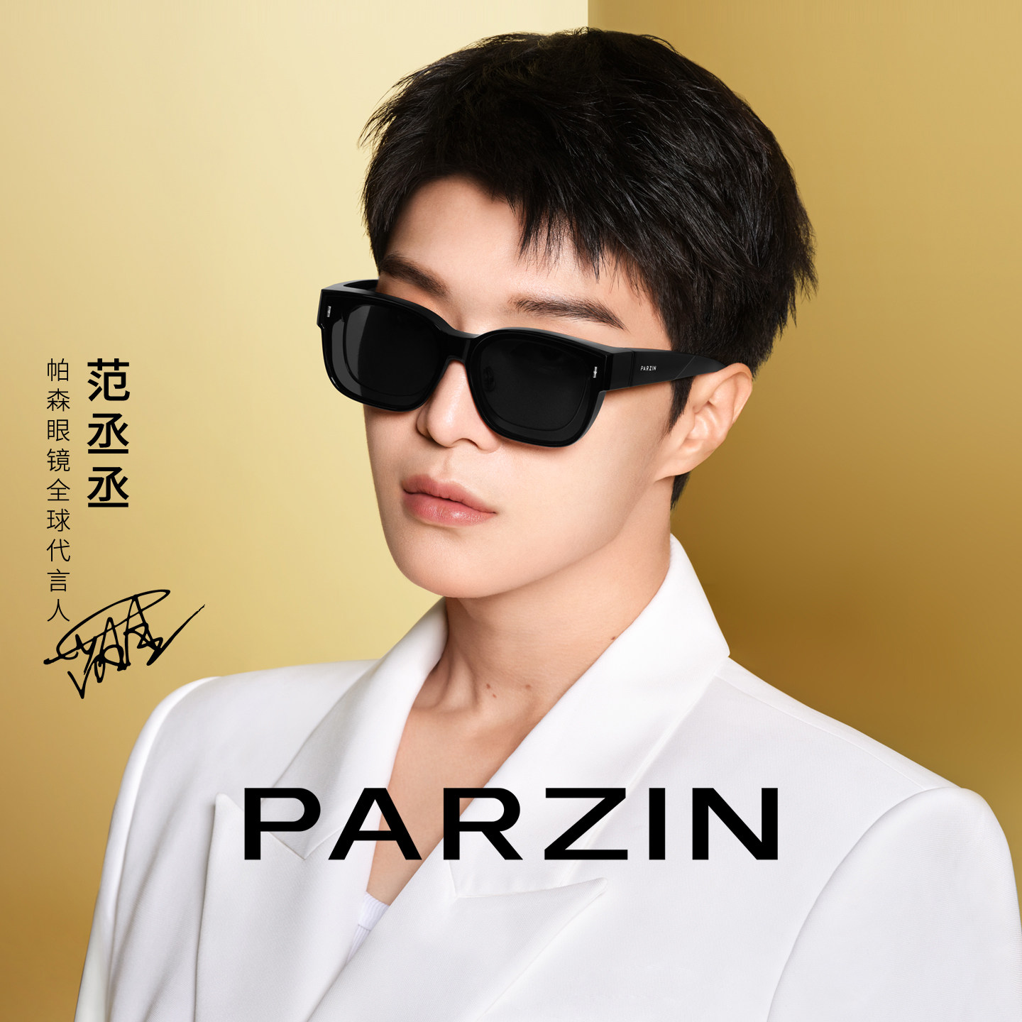 帕森偏光太阳镜套镜男范丞丞同款轻盈防晒开车驾驶墨镜女PZ1212