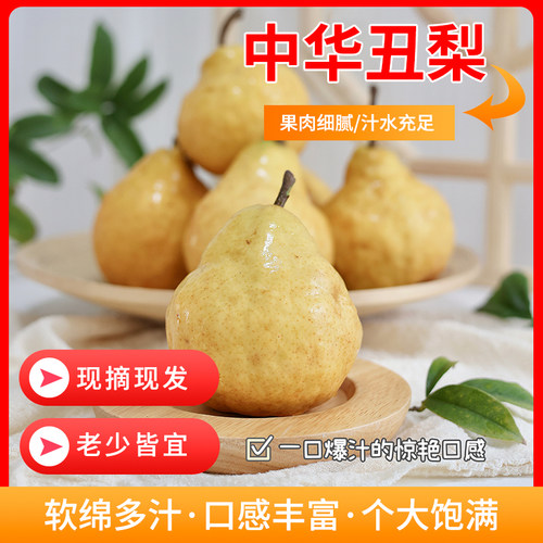 山东烟台正宗中华丑梨5斤新鲜水果礼盒当季太婆啤梨整箱包邮梨子