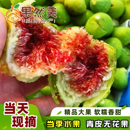 威海青皮无花果特产新鲜水果超大果四斤装空运包邮