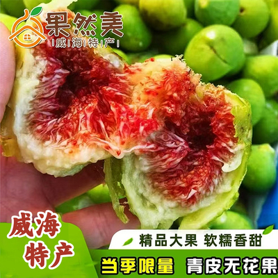 威海山东青皮无花果顺丰