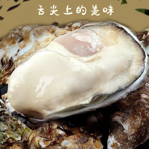 乳山生蚝海鲜生蚝鲜活