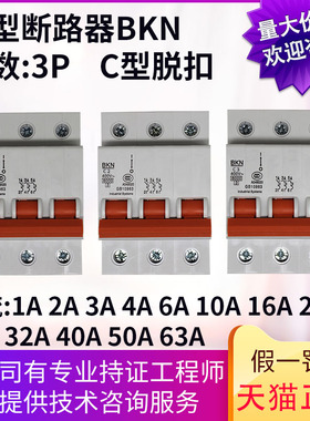 原装小型断路器BKN C型 3P三相空开(1 2 3 4 6 10 16 20 25 63)