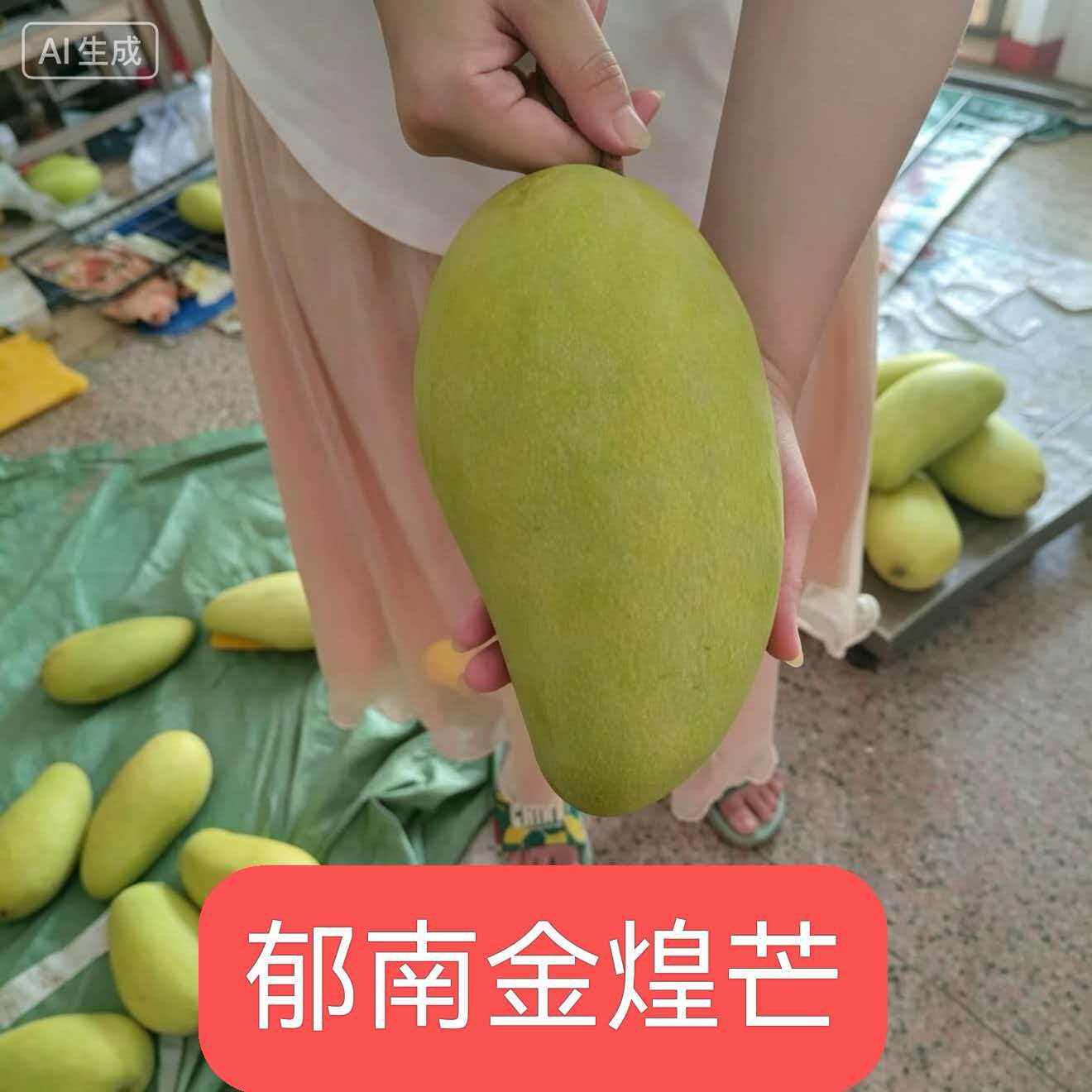 夏季纯甜郁南县河口金煌芒现摘云浮2026新品水果整箱包邮水仙芒果