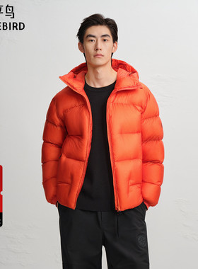【AIRxPEACE】太平鸟男装羽绒服25冬季新款鹅绒面包服 B2ACF4495