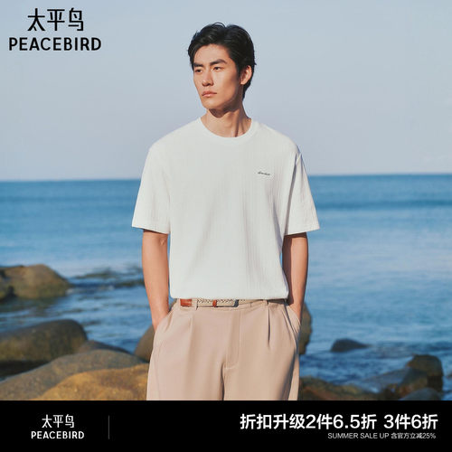 【提花】太平鸟男装纯色肌理感重磅短袖T恤2026夏新款老钱风半袖