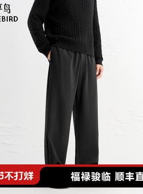 太平鸟男装休闲裤25秋季新款肌理提花直筒运动裤弹力百搭卫裤男K