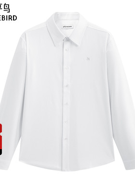 【商场同款】太平鸟男装 休闲衬衫精密刺绣男士时尚衬衫B1CAF4B42