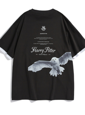 【哈利波特联名】太平鸟男装 黑色刺绣后背印花短袖T恤B1CND4367