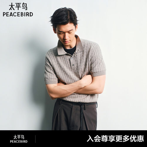 【商场同款】太平鸟男装 静奢绞花2026年秋季新款polo衫B1EEG3145