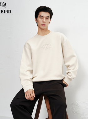 【商场同款】太平鸟男装 2025年冬季新款仿麂皮绒卫衣B2CRF4132