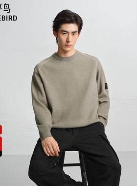 【商场同款】太平鸟男装 休闲毛衫男士时尚纯色圆领毛衣B2EBF4508