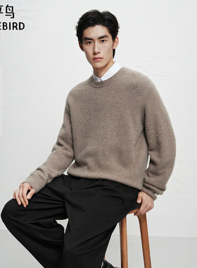 【商场同款】太平鸟男装保暖羊绒毛衫冬圆领羊毛针织衫B1EBF4B18