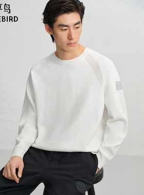 【商场同款】太平鸟男装毛衫冬季时尚宽松套头衫潮 B2EBF4507