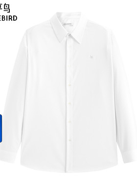 【商场同款】太平鸟男装衬衫26春季新款纯色刺绣衬衣 B1CAG1B01