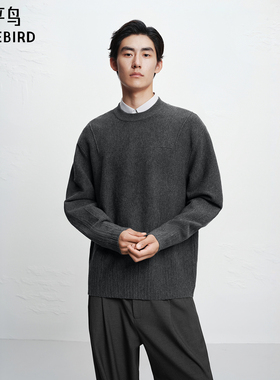 【商场同款】太平鸟男装毛衫25冬季新款圆领刺绣套头衫 B2EBF4D03