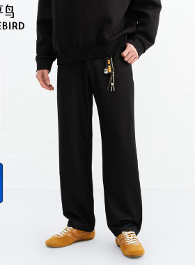 【商场同款】太平鸟男装牛仔裤26春季新款直筒黑色长裤 B1HAG1376