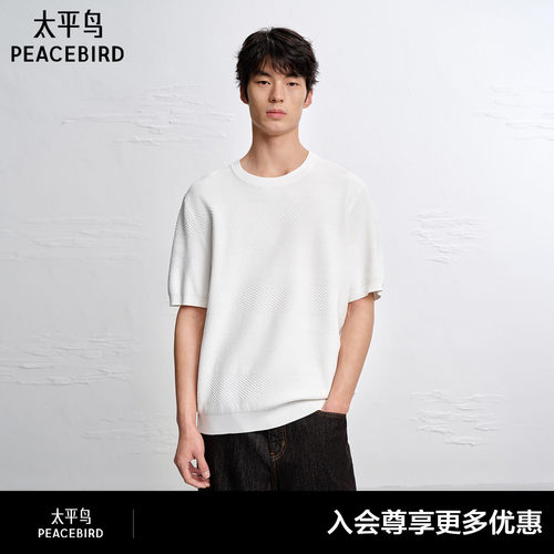 【商场同款】太平鸟男装肌理感针织T恤26新款圆领短袖B1EEG2178#