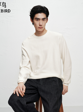 【商场同款】太平鸟男装 2025年冬季新款打底白色毛衫B1EBF4B20