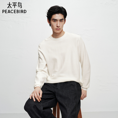 【商场同款】太平鸟男装 2025年冬季新款打底白色毛衫B1EBF4B20