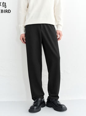 【商场同款】太平鸟男装 2025年冬季新款肌理感休闲裤B1GBF4287