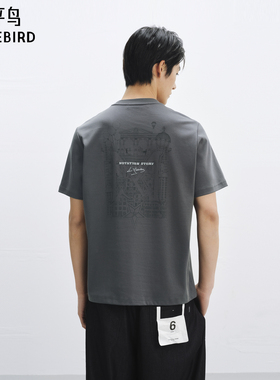 太平鸟男装 Daria Song联名系列潮流休闲撞色刺绣圆领短袖T恤男