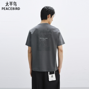 T恤男 Song联名系列潮流休闲撞色刺绣圆领短袖 太平鸟男装 Daria