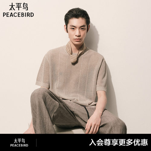 【商场同款】太平鸟男装 2026年夏季新款针织短袖T恤男B1EEG241Q