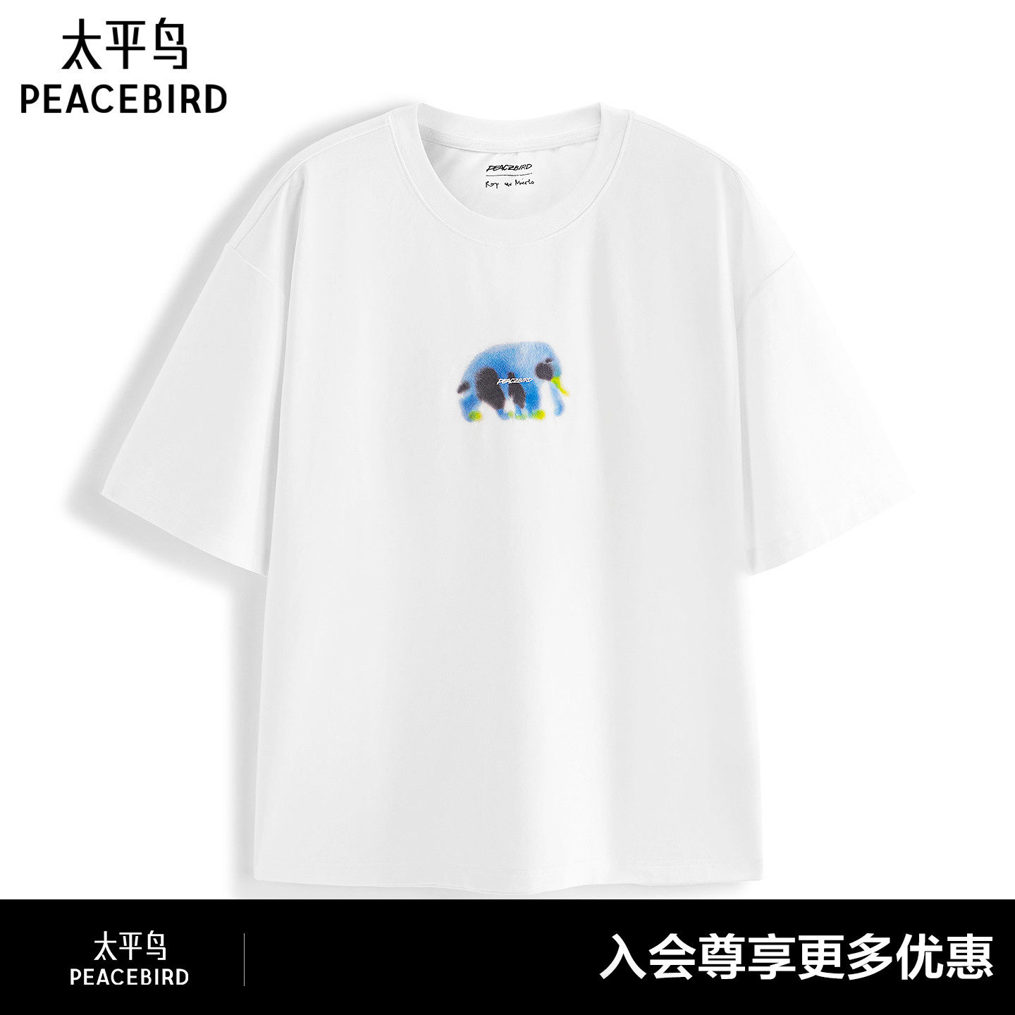 【艺术家Rop联名】太平鸟男装太平鸟男装T恤26夏短袖 B2CNG2426#图片