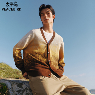 休闲毛衫 针织衫 时尚 潮流毛衣舒适宽松时尚 上衣潮 男士 太平鸟男装