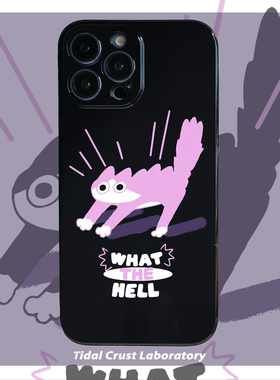 黑色亮面卡通猫咪粉色手机壳适用适用苹果15nova10华为p50E/mate40小米13opporeno9vivo荣耀80iPhone14