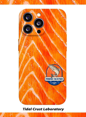 创意三文鱼肥美脂肪菲林二合一手机壳适用苹果17nova14华为p70mate60小米15opporen14ovivo荣耀300iPhone16