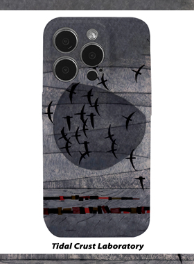 创意线条纹理黑色飞鸟菲林二合一手机壳适用苹果17nova14华为p70mate60小米15opporen14ovivo荣耀300iPhone16