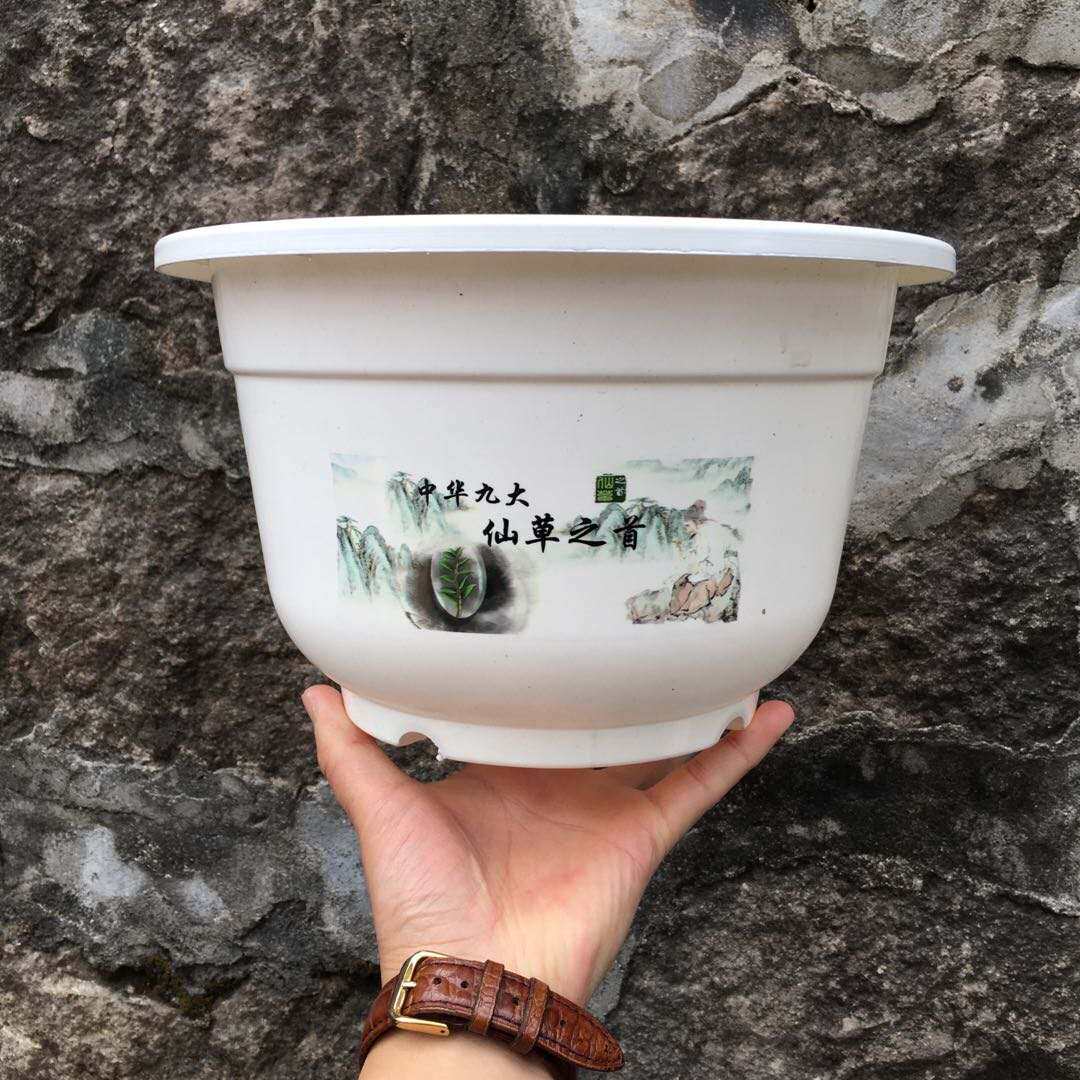 塑料花盆石斛花盆 花盆免邮 铁皮石斛花盆盆栽专用盆花盆塑料花盆