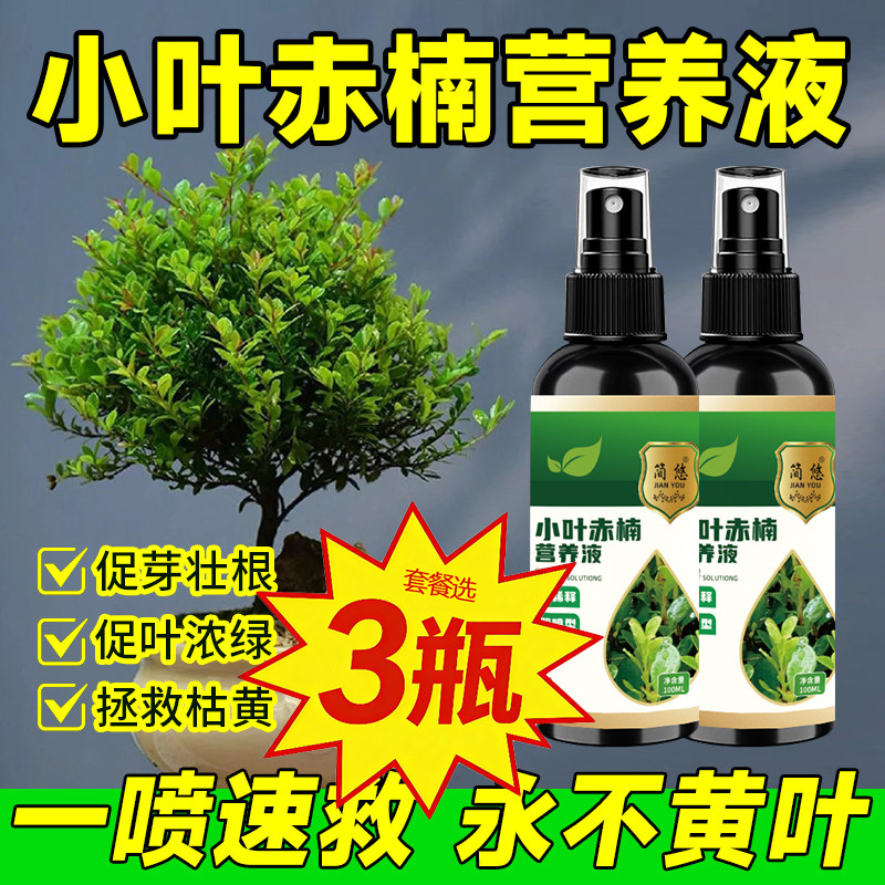 小叶赤楠专用营养液一喷绿促进绿叶生根针对黄叶掉叶园艺营养液