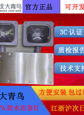 北大青鸟应急照明灯8W/壁挂IP67防护等级J-ZFJC-E8W-17B7A防水灯