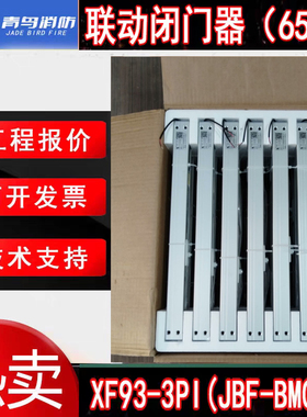 北大青鸟65KG防火门闭门器 XF93-3PI(JBF-BM02D)二线制一体式全新