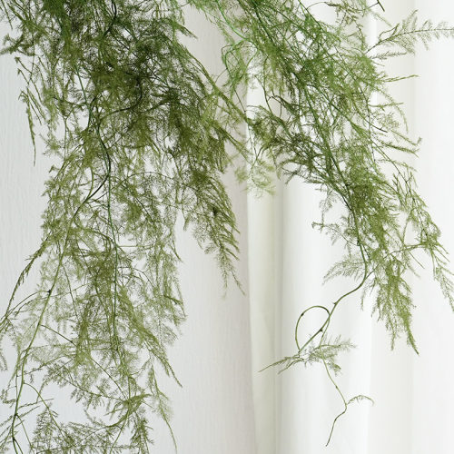 仙气文竹永生花造景场景布置