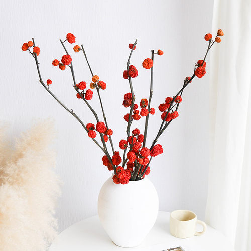 小南瓜干花天然植物干果