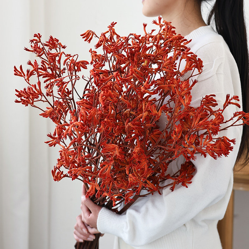 进口永生花袋鼠爪干花花束天然风干高级感真花干枝民宿装饰干鲜花,家居饰品,干花/花瓣/干花包/干树枝,淘宝优惠券,粉丝福利购,淘宝优惠卷