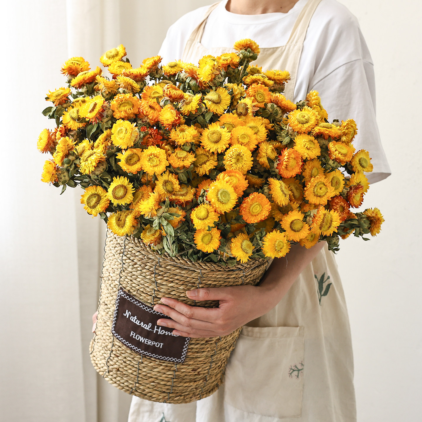 小雏菊花束天然干花客厅摆设图片