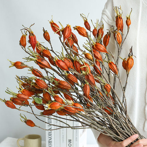 栀子果干花高级感真花束