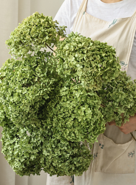 天然绣球高级感真花干花花束