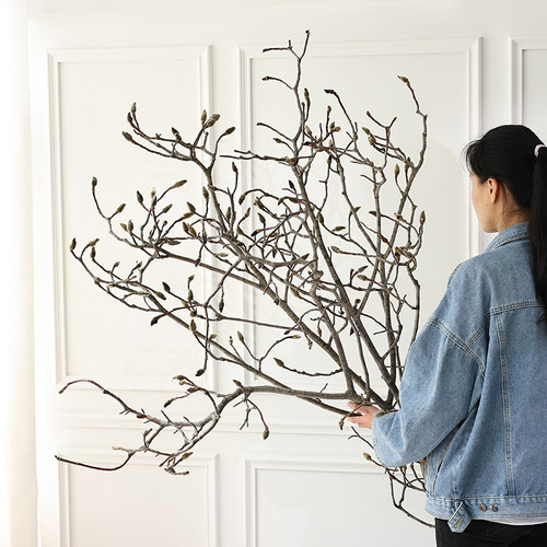 玉兰枝干花天然干树枝家居装饰