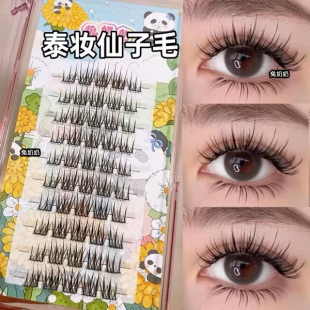 分段式泰式蓬松浓颜自然浓密单簇假睫毛细黑梗兔奶奶t02仙子毛