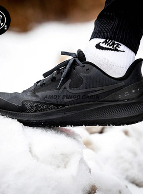 Nike耐克 Air Zoom Pegasus 飞马39女子防水缓震运动跑步鞋DO7626