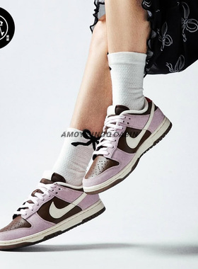 Nike耐克 Dunk Low 男女紫褐麂皮复古潮流运动休闲板鞋HM0987-200