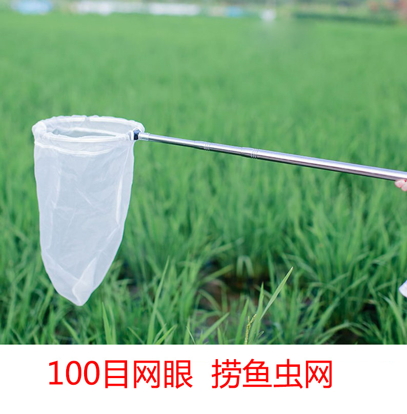 捕虫网伸缩苍蝇蚊子鱼虫网寻蝶园